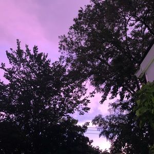 Meet your Posher, Aliya